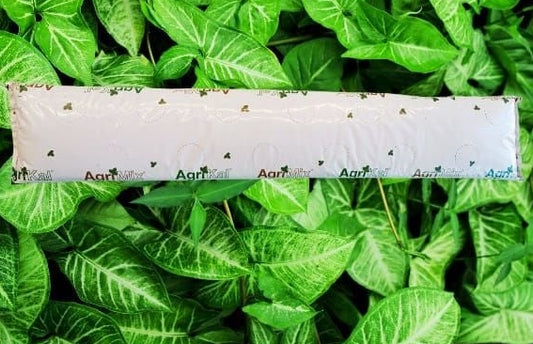 Cocopeat Çilek Yetişirme Ortamı